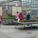 IMG_3127
