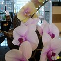 IMG_3137
