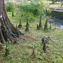 IMG_3142