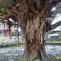 IMG_3151