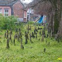 IMG_3157