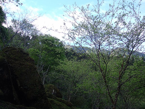 DSC02627