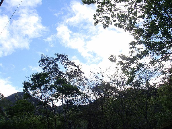 DSC02629
