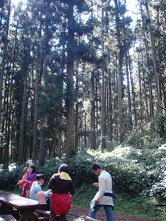 DSC02653