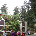 DSC02619