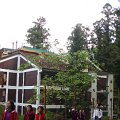 DSC02620