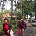 DSC02622