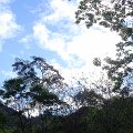 DSC02629
