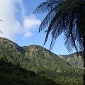 DSC02632