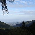 DSC02633