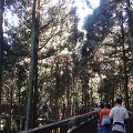 DSC02645