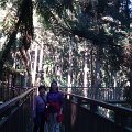 DSC02646