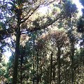DSC02647
