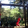 DSC02648