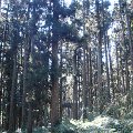 DSC02653