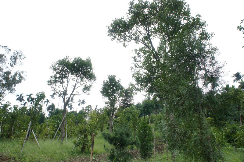 DSC03280