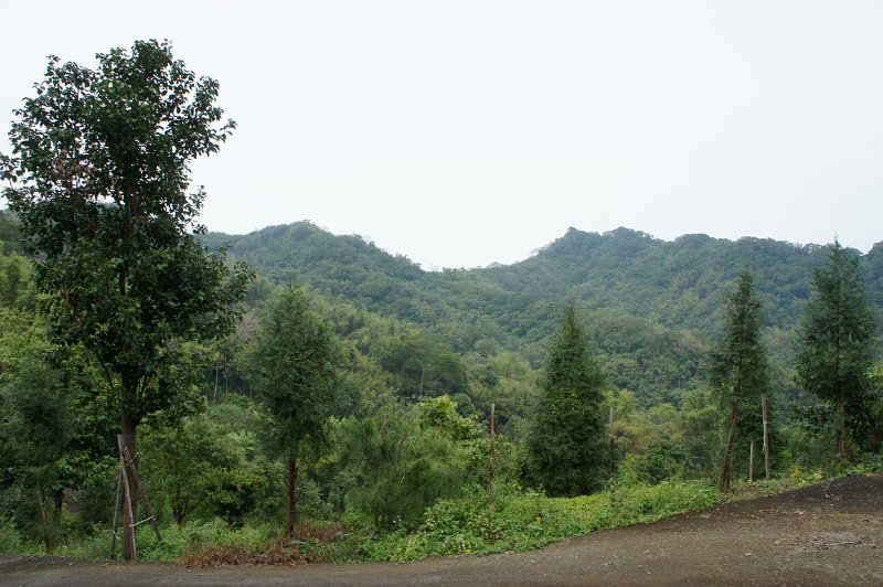 DSC03285