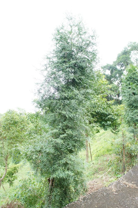 DSC03289