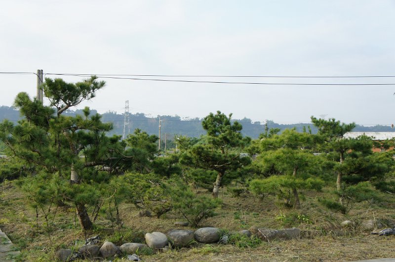 DSC03311