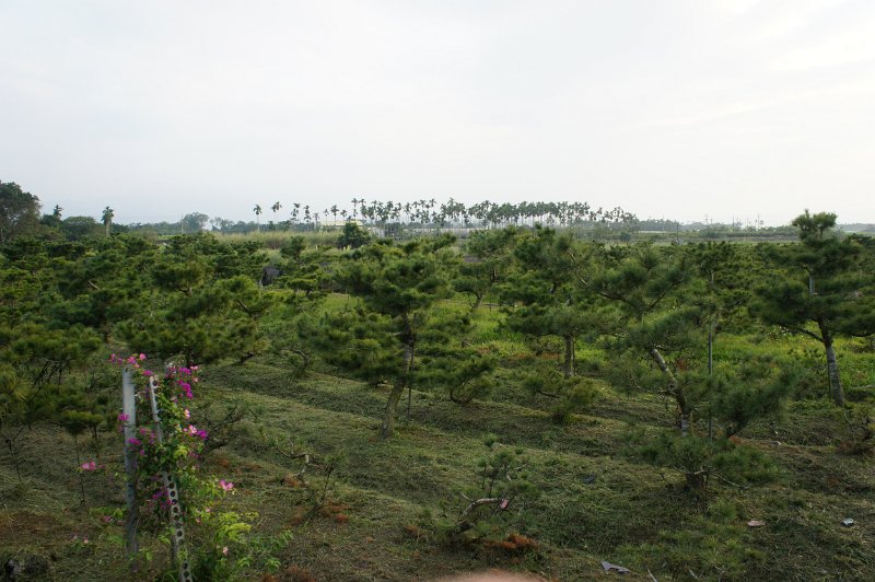 DSC03372