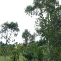 DSC03280
