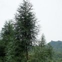 DSC03288
