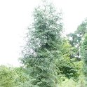 DSC03289