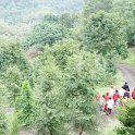 DSC03290