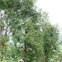 DSC03298