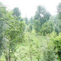 DSC03302