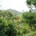 DSC03305