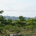DSC03311