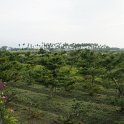 DSC03372